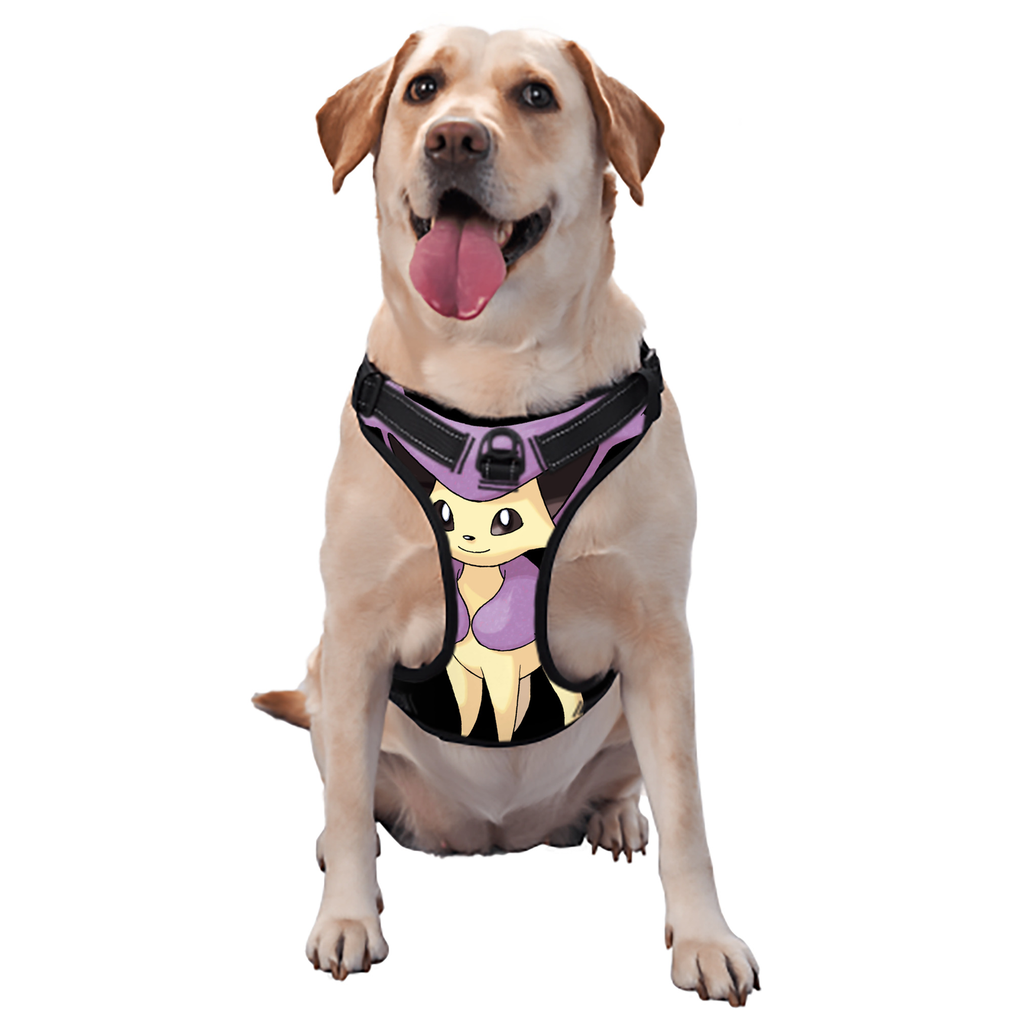 （画像用） ポケットモンスター Pokémon ペット用ハーネス